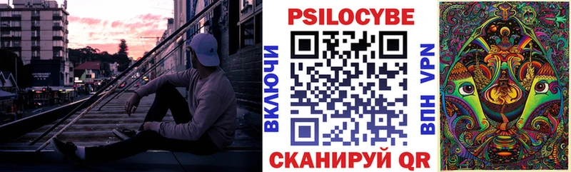 нарко площадка клад закладки Курлово Галлюциногенные грибы Magic Shrooms